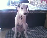 Антон Котов фотография #36 (источник - https://vk.com/id288997)