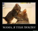 Іванна Мельничук фотография #9 (источник - https://vk.com/id12898392)