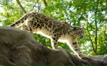 Ігор Ентін фотография #21 (источник - https://vk.com/id11286285)