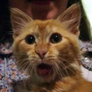 Фотография Сохина Дениса