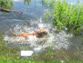 Джек Ценкін фотография #7 (источник - https://vk.com/id100363511)