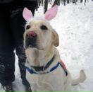 Фотография Цветковой Екатерины