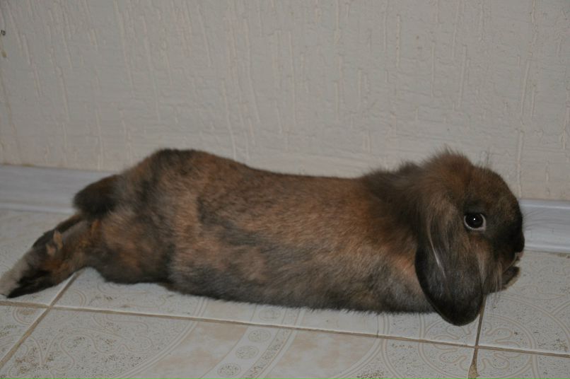 Марк Макаров фотография #24