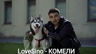 LoveSino - КОМЕЛИ (Премьера клипа 2019)