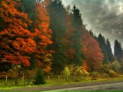 Міша Kamikadze фотография #6 (источник - https://vk.com/id17847032)