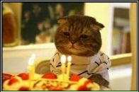 Фотография Свидерского Евгения