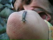 Фотография Доценко Максима