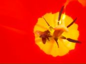 Фотография Юрьевой Елены