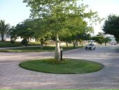 Дмитрий Минаков фотография #30 (источник - https://vk.com/id2820287)