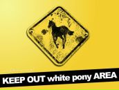 Фотография Злова Александра