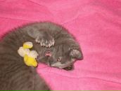 Фотография Смирновой Натальи