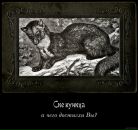 Фотография Першина Дениса