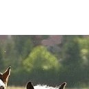 Володимир Якимів фотография #22 (источник - https://vk.com/id68115801)