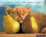 Фотография Швецовой Надежды