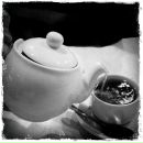 Фотография Князева Алексея