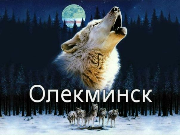 Андрей Дивдевилов фото №26