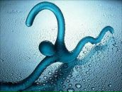 Фотография Полева Дениса