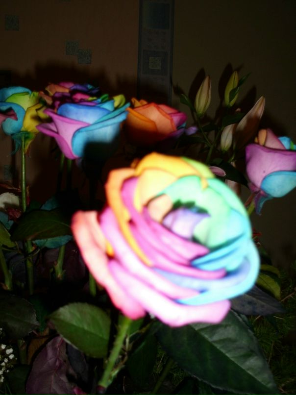 Valya Electra фотография #4