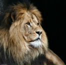 Фотография Московских Дениса