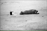 Фотография Махова Павла