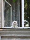 Фотография Филимоновой Татьяны