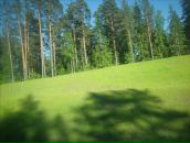 Фотография Кравченко Елены