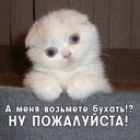 Сергій Кужель фотография #35 (источник - https://vk.com/id104551245)