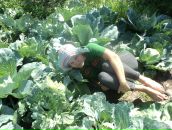 Фотография Овчинниковой Ольги