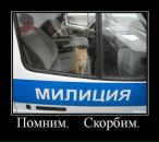 Миша Мифка фотография #9 (источник - https://vk.com/id289308)