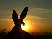 Дмитрий Скороход фотография #33 (источник - https://vk.com/id40111352)