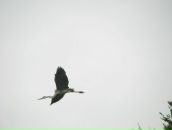 Лілія Равлик фотография #7 (источник - https://vk.com/id56085304)