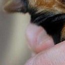 Каріно4ка♥ Шрамко фотография #16 (источник - https://vk.com/id147791993)