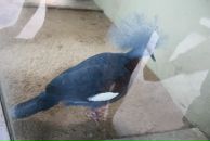 Dima Suharev фотография #24 (источник - https://vk.com/id295111)