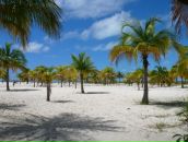 Фотография Дорофеева Дмитрия