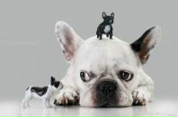 Діма Яницький фотография #20 (источник - https://vk.com/id93831977)