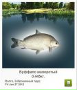 Євген Ковальчук фотография #19 (источник - https://vk.com/id151466630)