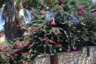 Princessa София фотография #14 (источник - https://vk.com/id852922)