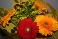 Фотография Нефёдовой Юлии