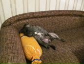 Фотография Иевлевой Юлии