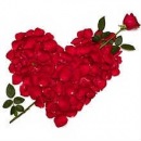 Іванка Романів фотография #18 (источник - https://vk.com/id127091282)