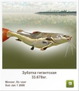 Иван Бабинец фотография #43 (источник - https://vk.com/id120069385)