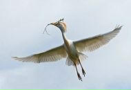 Ігор Завгородній фотография #36 (источник - https://vk.com/id27050164)