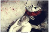 Фотография Ковой Леси