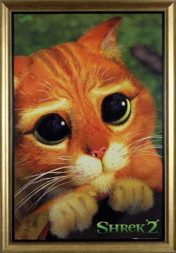 №12, Эдик Тигай №12, Эдик Тигай