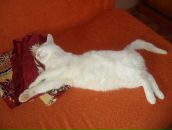 Фотография Южакова Михаила