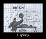 Тоша Тоша фотография #50 (источник - https://vk.com/id1032457)