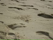 Людмила Чернова фотография #47 (источник - https://vk.com/id4906022)