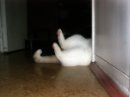 Игорь Житков фотография #48 (источник - https://vk.com/id130423)