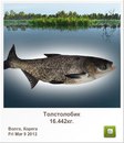 Славік Зайцев фотография #16 (источник - https://vk.com/id97164544)