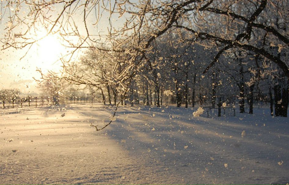 Михаил Яковлев фото №33